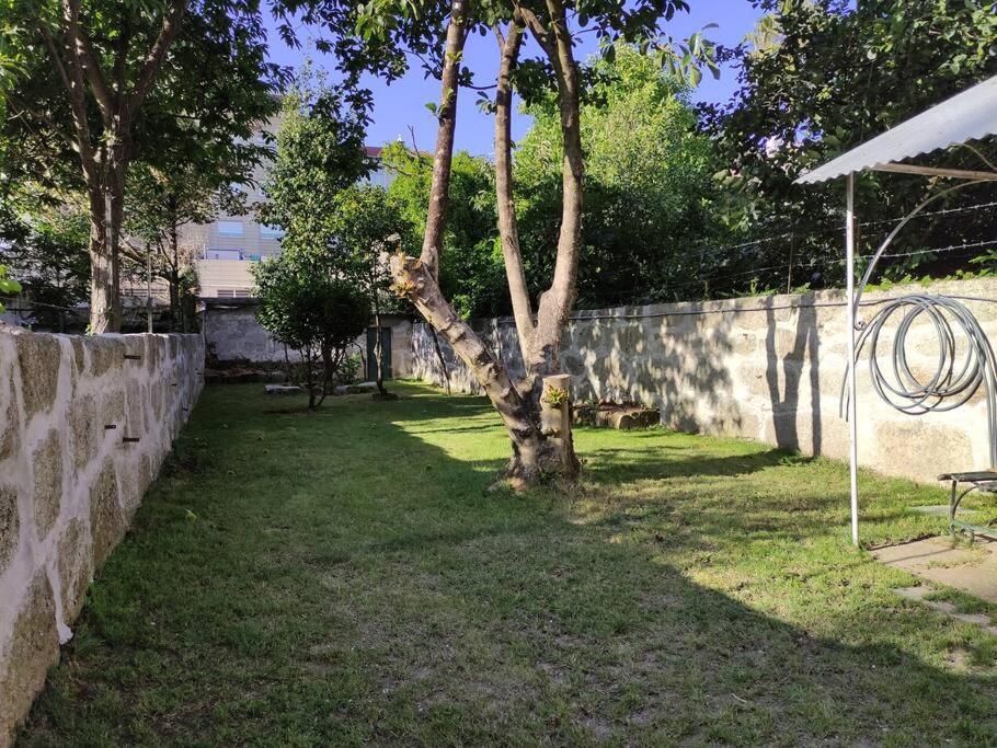 Alvares Cabral Apartamento C Apartment Porto Bagian luar foto